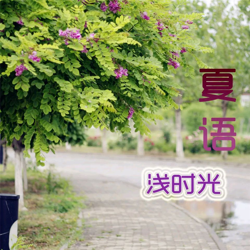 《现代诗人红蝴蝶创作现代诗五首》作者：红蝴蝶 [中国现代诗歌文化传媒推荐]（图6）