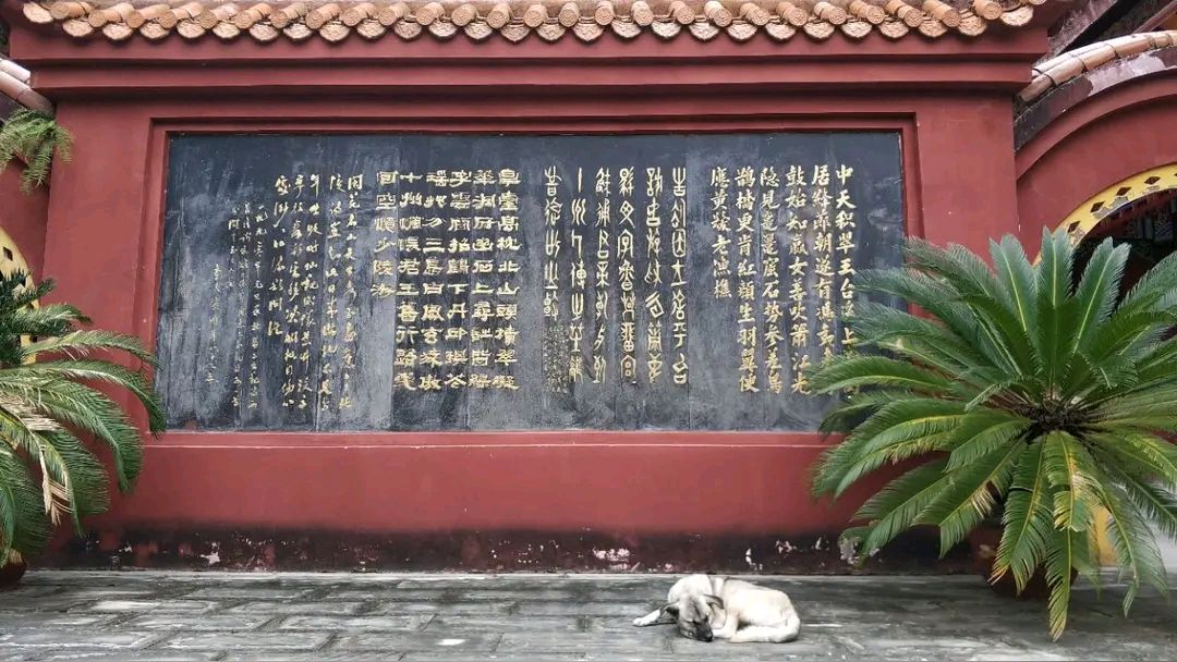《现代诗人东方即白现代诗几首》作者：东方即白 [中国现代诗歌文化传媒推荐]（图5）