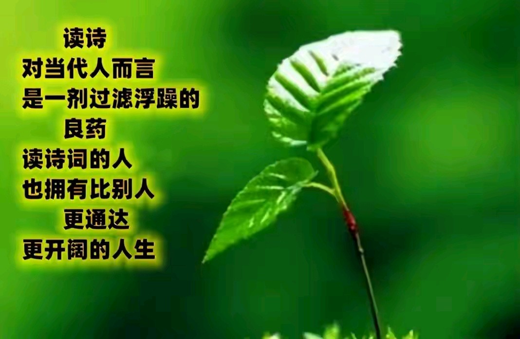 《现代诗人东方即白现代诗几首》作者：东方即白 [中国现代诗歌文化传媒推荐]（图11）