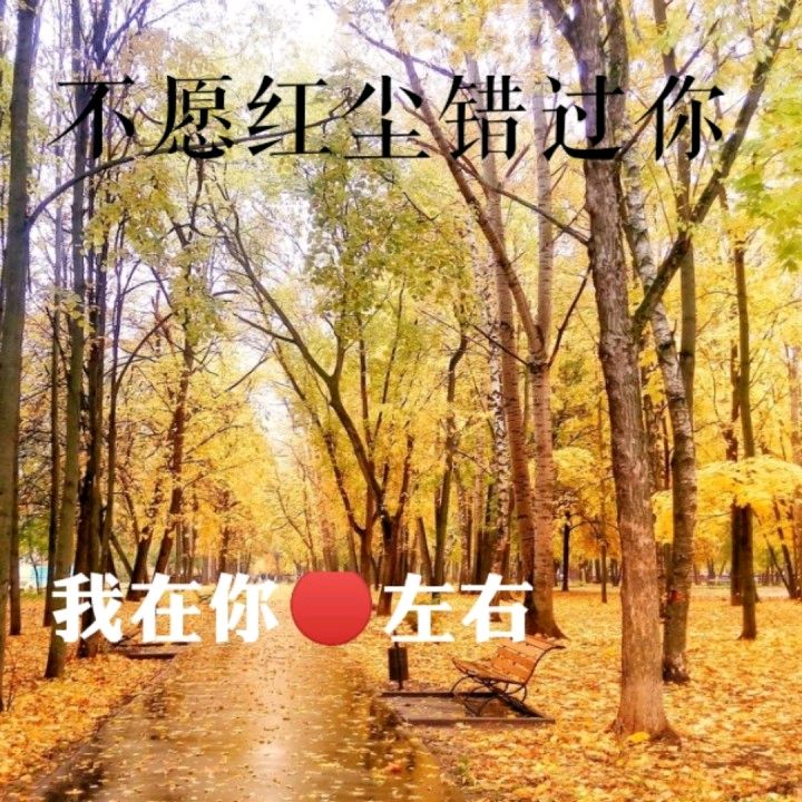 名家精品诗文【日薄西山沉沉去，浴火东生现狮雄 】1264作家：三木秉凤先生（周凤森）编辑制作：烟雨蒙蒙（图9）
