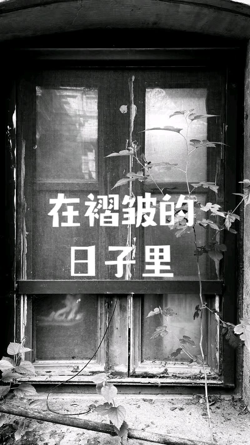 在褶皱的日子里～诗◑白印良（图10）