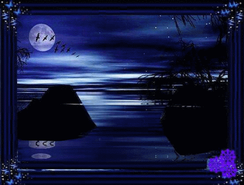 【枫雅汇看图约诗】第398期《夏夜》(图13)