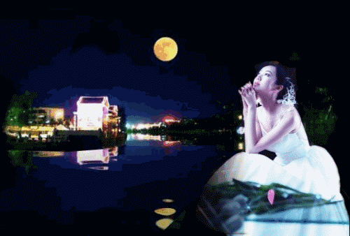 【枫雅汇看图约诗】第398期《夏夜》(图14)