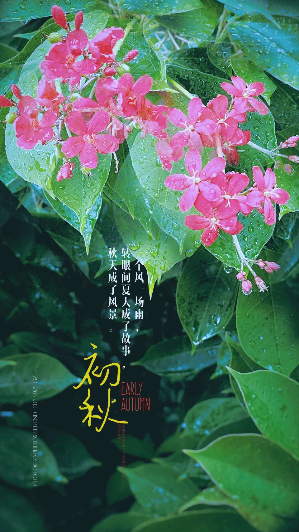一剪梅-初秋～词◑刘哲侬（图10）