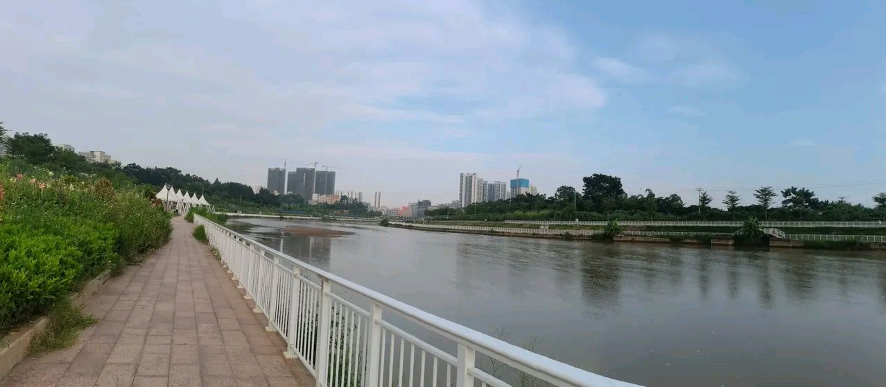 《龙游天下创作现代古诗词牌赏析》作者：龙游天下 [中国现代诗歌文化传媒推荐]（图5）