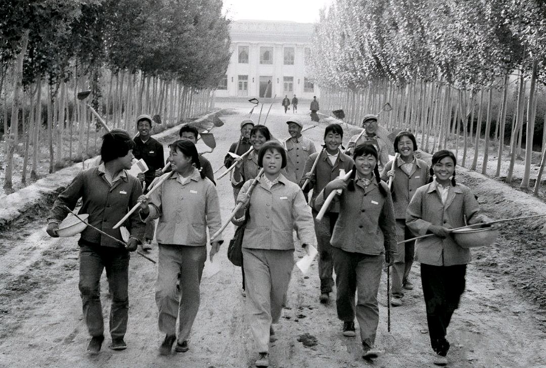 下放农场之前的日子/作者：赵庆熙（图5）