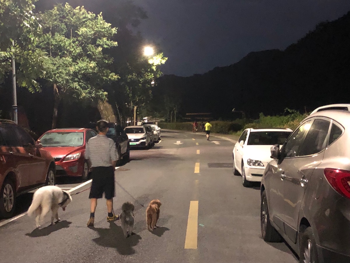 五律•坞里行【中华诗韵 人民文学之家 北京文学院 北京文艺界 •中外文化名家典藏 中国诗词精品专题 当代文学风采 中国诗歌网•每日好诗】（图3）
