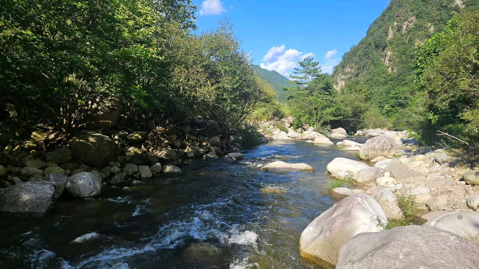 【荣耀中国】微笑是一股温柔的暖风青山不改（图3）