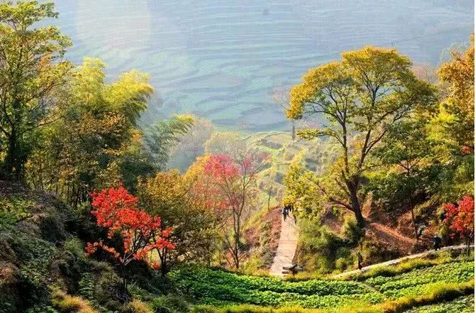 【荣耀中国】未伏初秋赵景龙（辽宁）（图3）