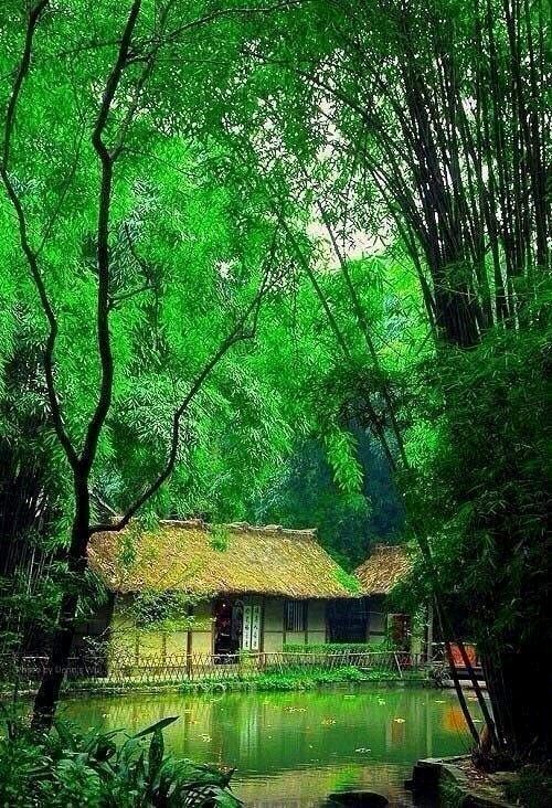 【荣耀中国】末伏秋雨作者/王富宝（图4）