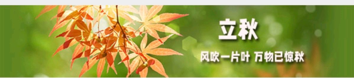 【秋韵】张建国//立秋（图3）
