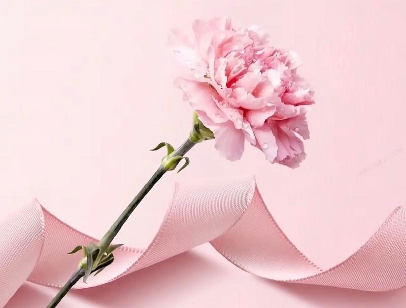 【新诗大观】妈妈别哭||文/郭清晓（图3）