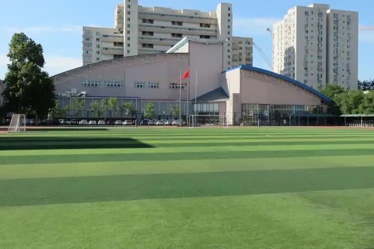 【新诗大观】难忘校园情||文/最美的时光（图2）