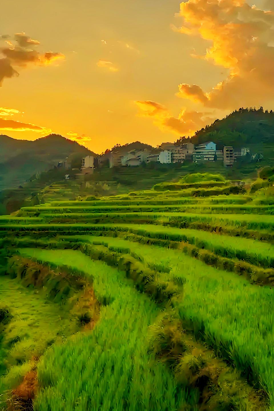 我想住在这样一个小村///文/雨下罗加///诵/老菩提（图4）