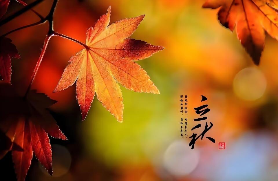 立秋2 立秋2