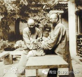 图片4 图片4