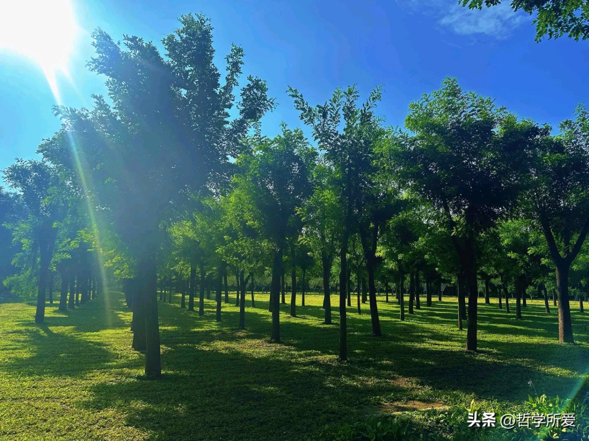 《我爱秋天》作者：田歌 [中国现代诗歌文化传媒推荐]（图5）