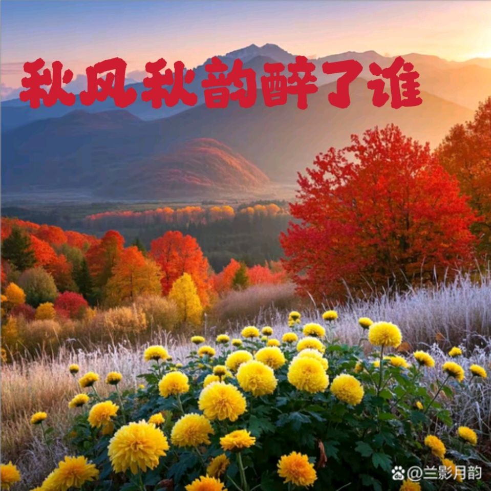 【重磅推出 秋韵抒怀】鲁坡//秋风秋韵醉了谁[七律•华盛戎晖]+精短文学“系列作品展”（图3）