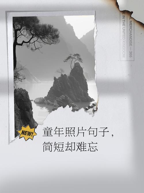 一张老照片(图11)