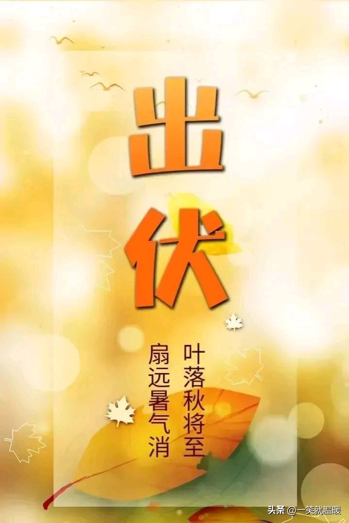 【荣耀中国】残暑何时退文/魏敏（图4）