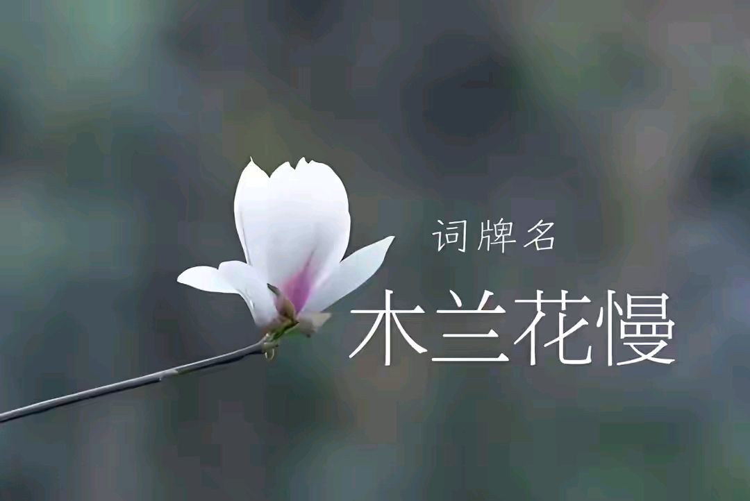 《海风创作现代古诗词牌赏析》作者：海风 [中国现代诗歌文化传媒推荐]（图6）