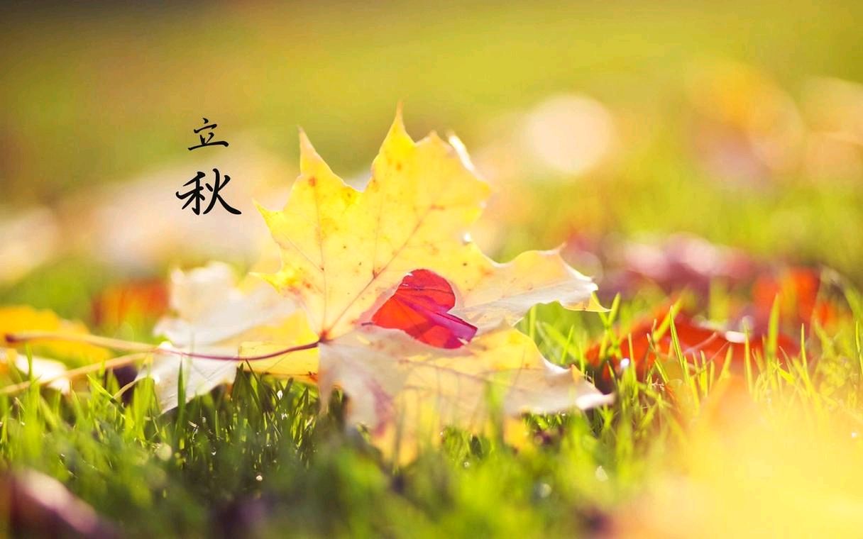 《七绝：乙巳新秋吟》文/江菊生——安徽