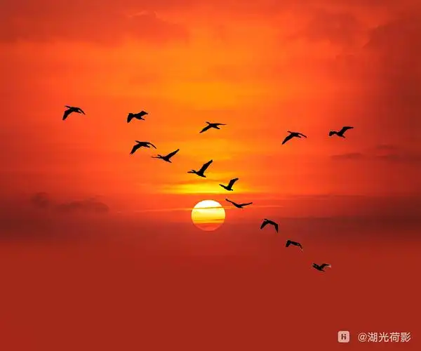 秋，这个季节……‖巴彦诗协【968】（图4）