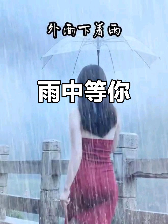 【新山东文学社】《寻一场梦,在多情的雨季》作者/大浪淘沙 主播/竹林听雨(图5)