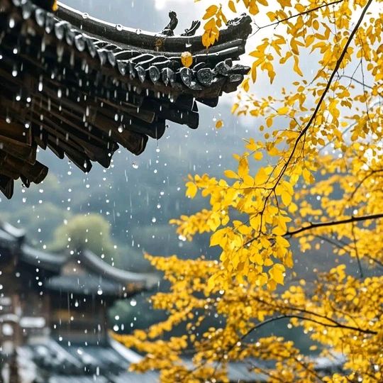 雨润空山秋来早/作者：崔和平（图3）