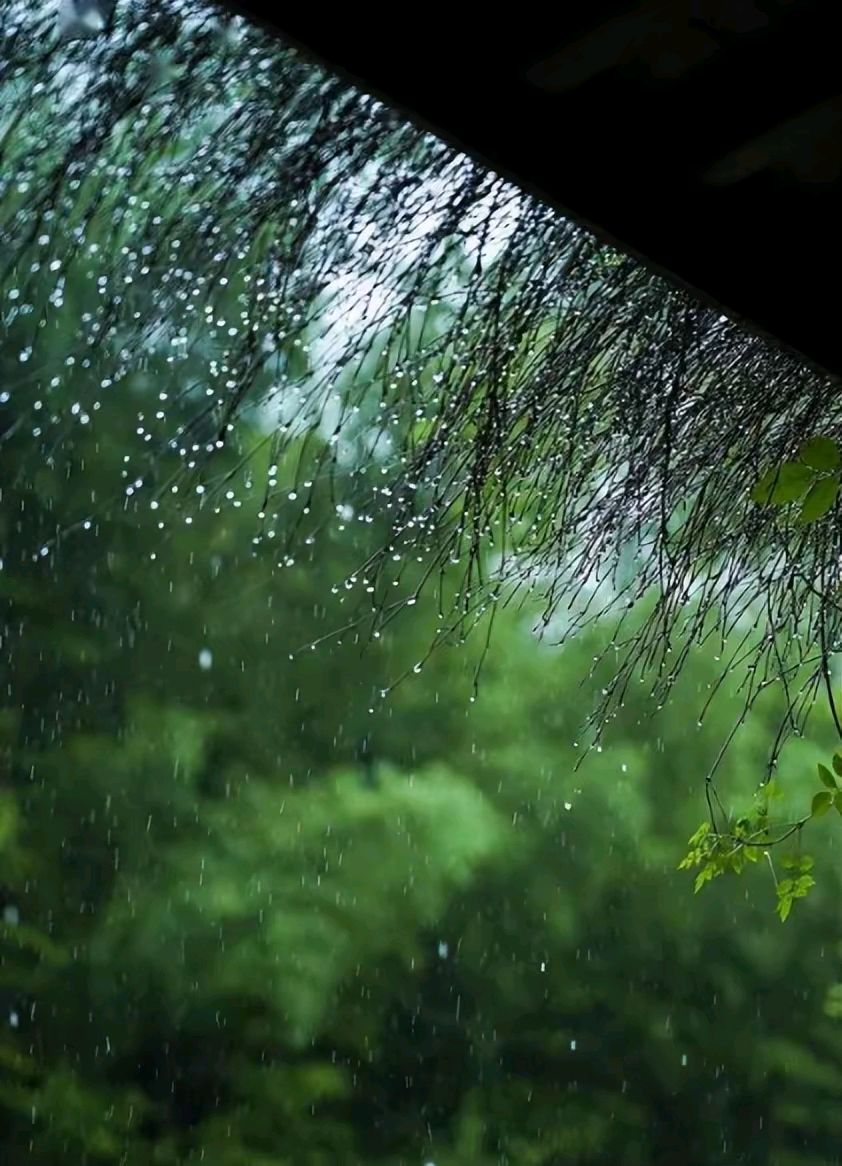 【荣耀中国】夏夜塘曲（平水韵）文/杜余明（图4）