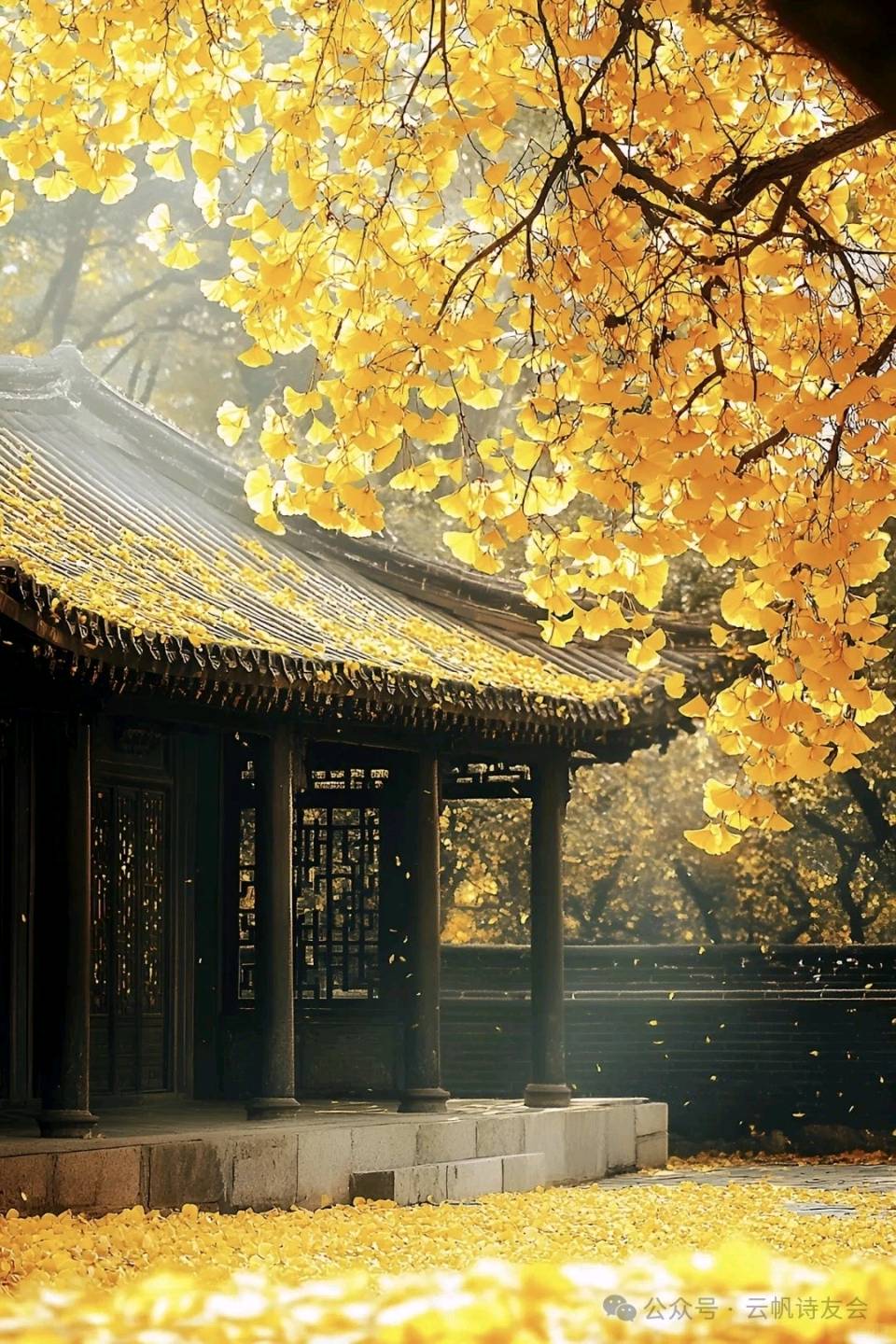 自由体《秋笺》文/郑金波