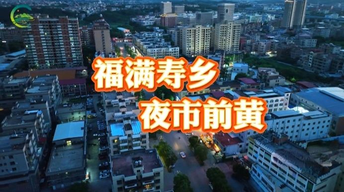 七律-夜市前黄～诗◑雅轩琴韵（图11）