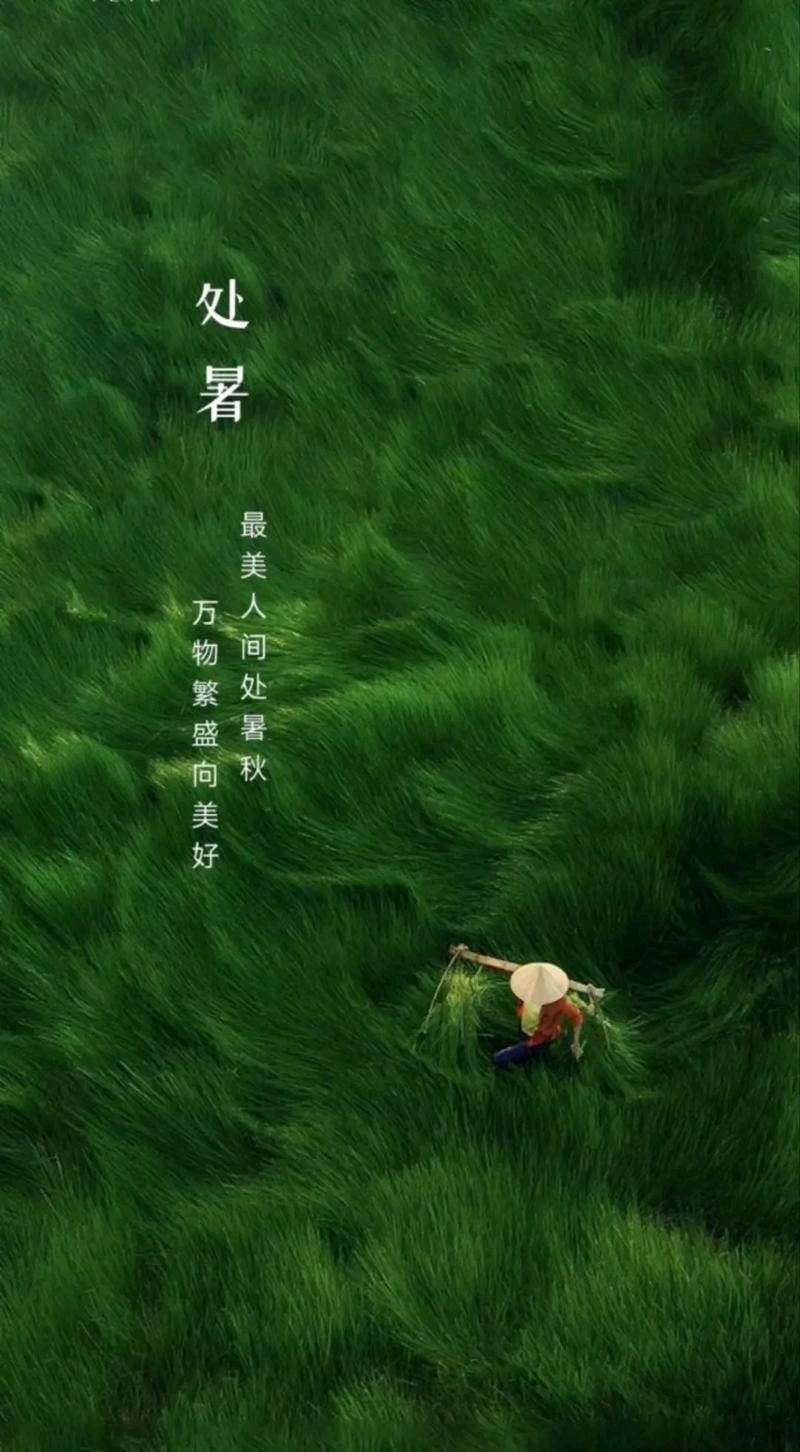 七言排律-处暑闲笔～诗◑杨景儒（图11）