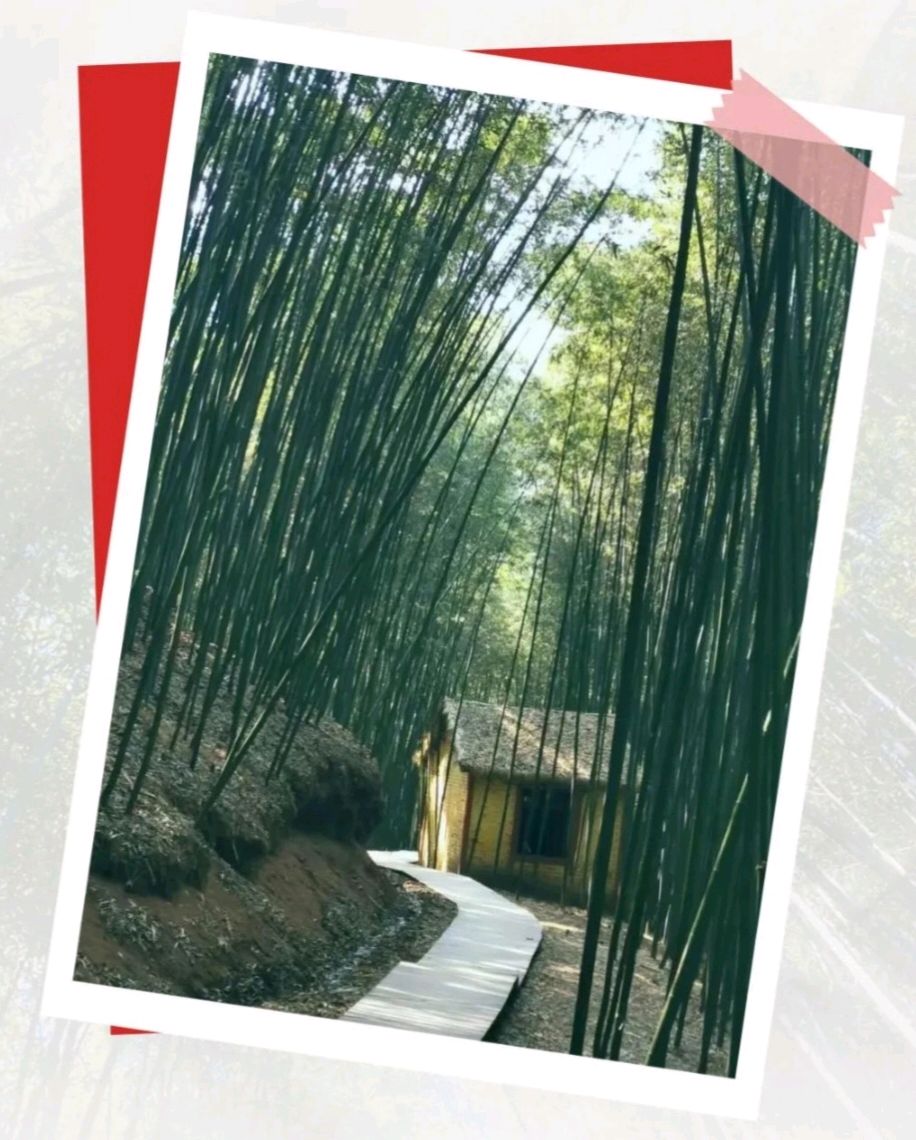 请您雅赏好诗选读——『海流博学多才诗人《古诗词十首》名刊鉴赏』（图3）