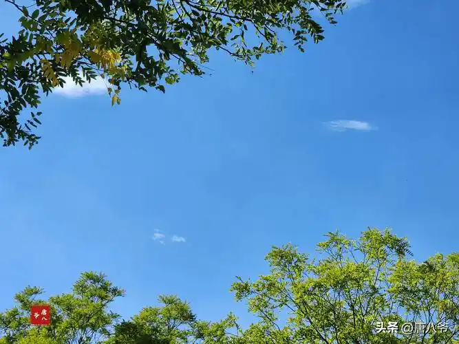 卫水洲的《人生百难，各有其味，熬过谷底，自有光辉》