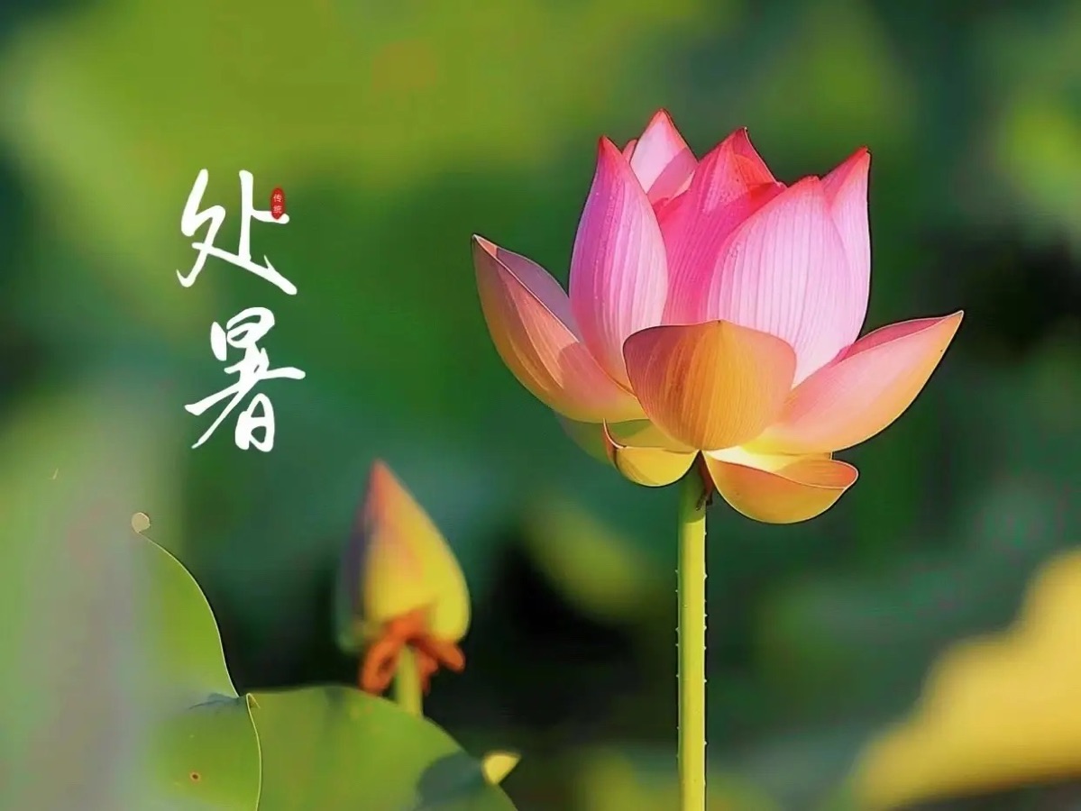 【和阳诗人】盼来处暑||文/宁儿