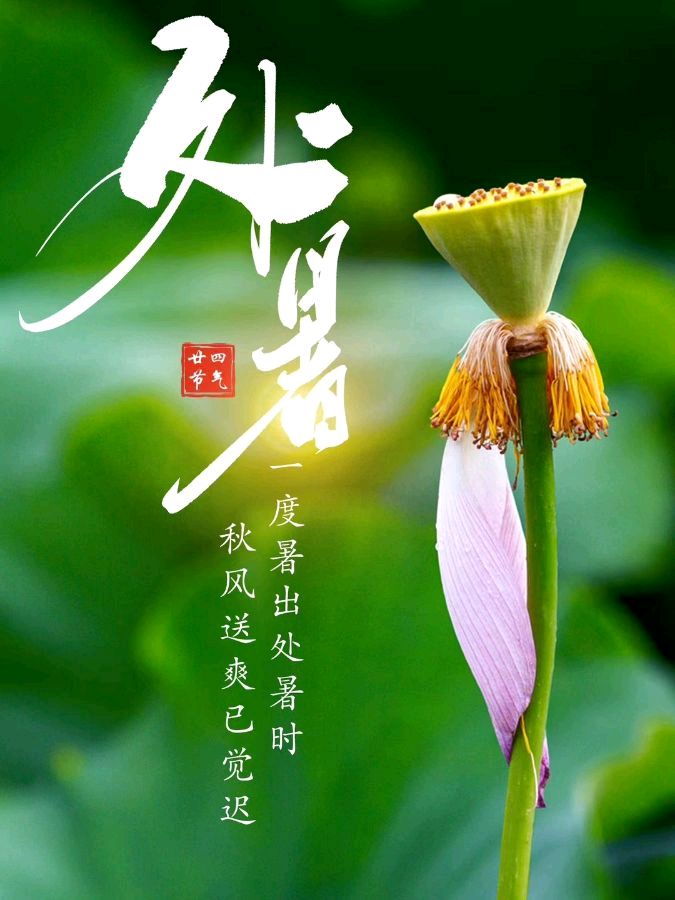 《九江文学社：北京头条》乙巳处暑节气专刊（图3）