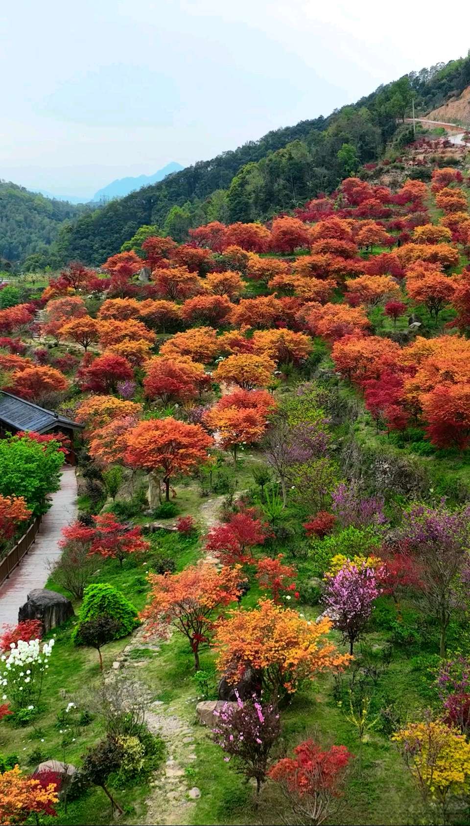 又吟处暑～诗◑吴永良（图15）