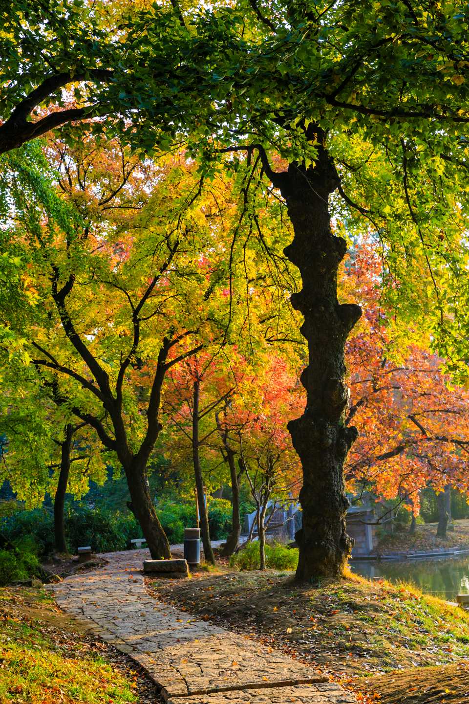 【神州源流诗苑】第1396期优秀近体诗周刊(图9)
