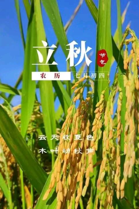【上海头条】诗生活‖古韵飘香240期（图14）