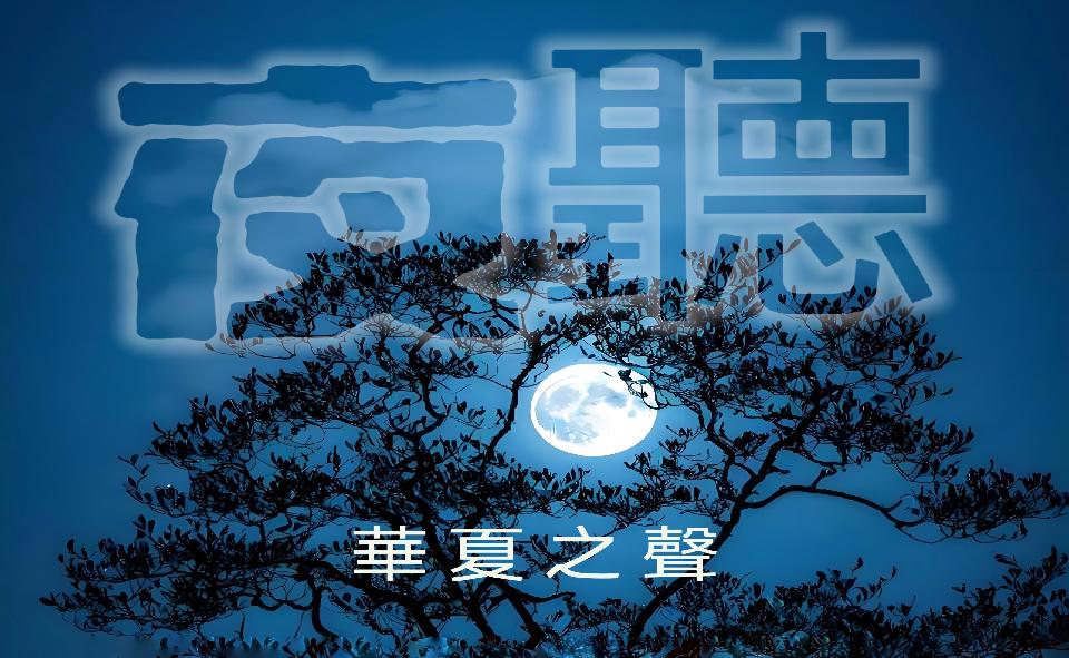【夜听】包容四智：藏在千年里的，给当代人的精神答案///文/雨下罗加///诵/老菩提（图5）