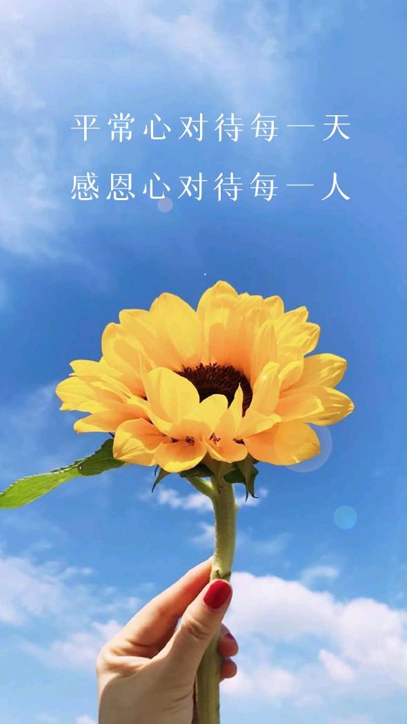 《我爱祖国赋》丰茂春(山东)（图5）
