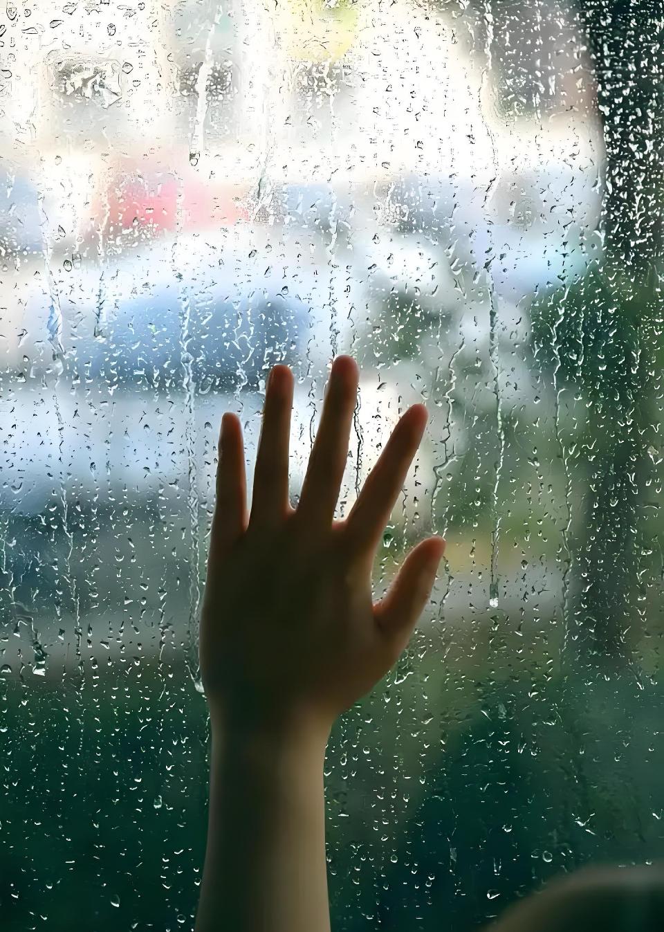 秋雨的思念///文/雨下罗加///诵/老菩提（图13）