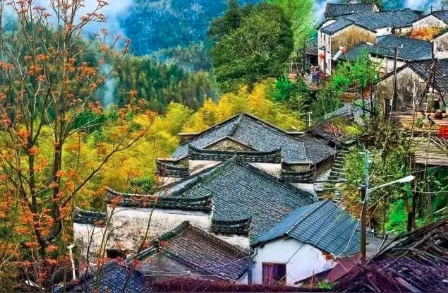 《兴隆三山“村田里”的星光大舞台》作者：喻忠国 [中国现代诗歌文化传媒推荐]（图5）