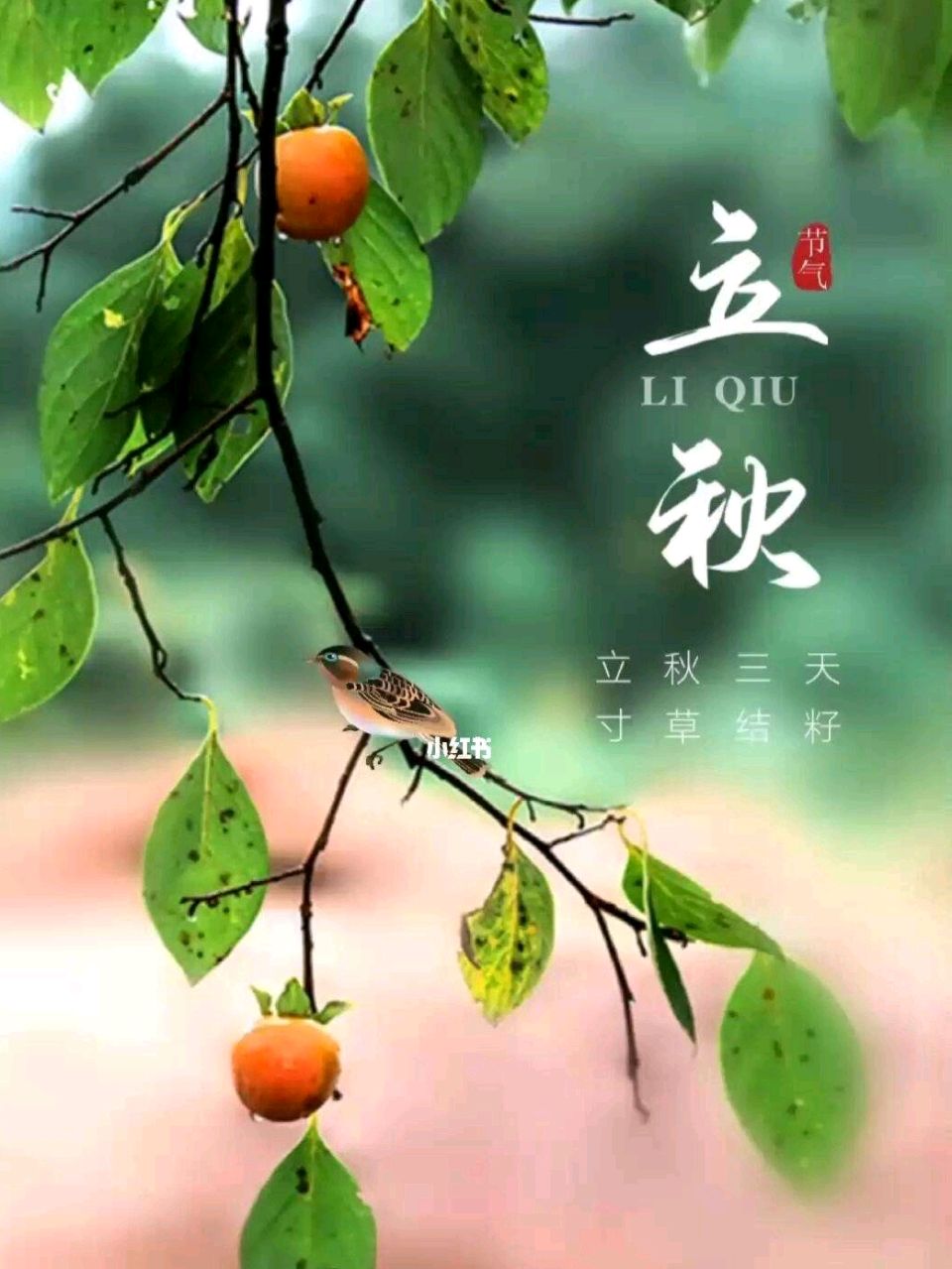《九江文学社：北京头条》白勇老首长佳作欣赏：初秋有吟（10首）（图2）