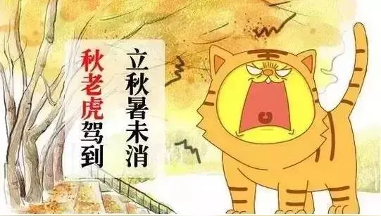 七夕吟（文/邹晓华）/秋老虎即景（文/许碧霞）/秋老虎（刘利佳）/秋日兴怀（文/冯清明）/和品兰斋主《家山秋暝》（文/韩满林）……莲叶之珠文学社（图9）