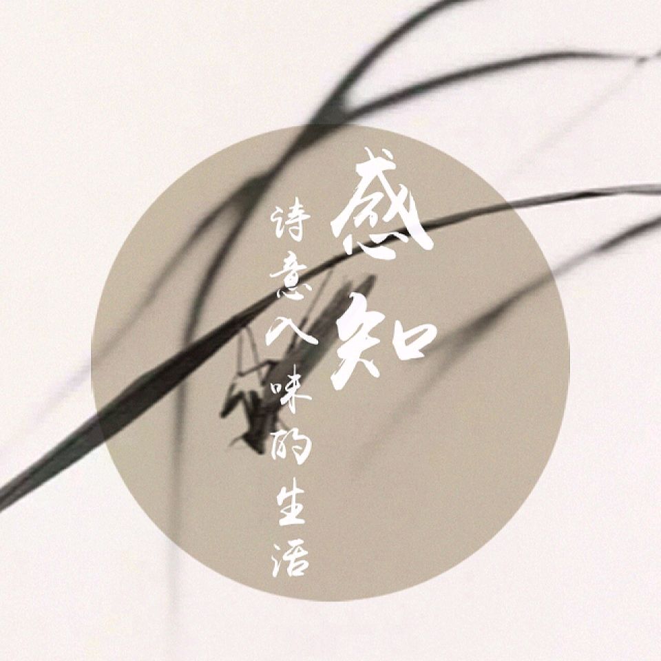 【新山东文学社】《梦里诗书寄情浓(十首)》作者/剑如虹 主播/天空(图6)