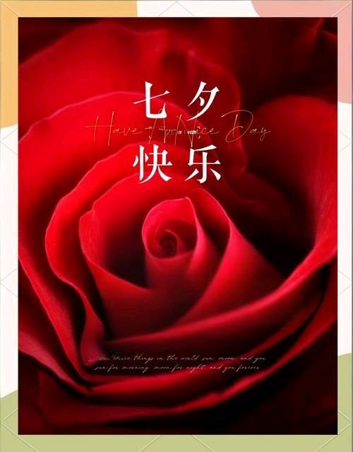 卫水洲的《七夕：月亮是杯酒，敬我们曾一起走》