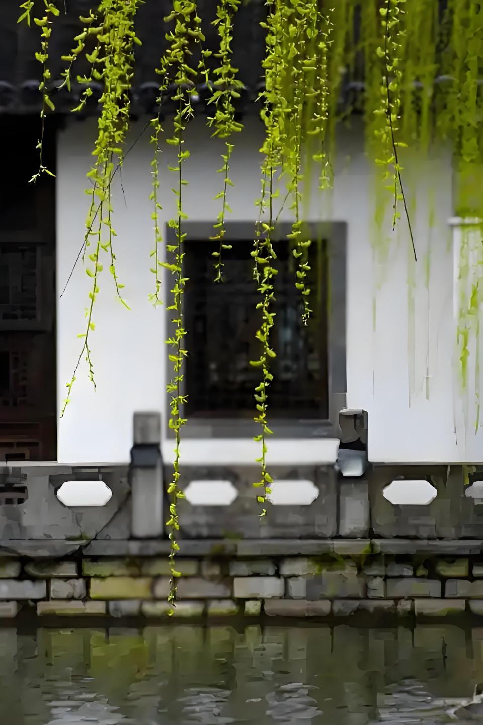 别了，我的江南烟雨///文/雨下罗加///诵/老菩提（图9）