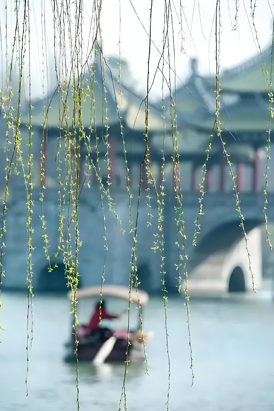 别了，我的江南烟雨///文/雨下罗加///诵/老菩提（图13）